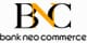 BSI Resmi partner logo